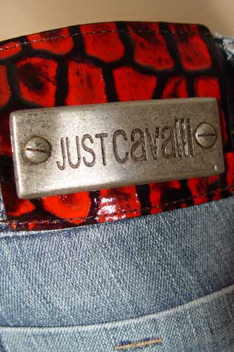 Womens Designer Clothes | JUST CAVALLI Ladies Classic Jeans #31